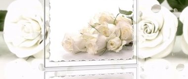 Белые розы надежды... 