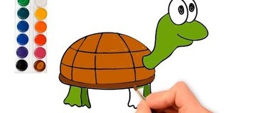 How to draw cartoon turtle, draw animals, #PencilTV, #YouTubeKids