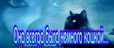 КОШКА или "Она всегда была немного кошкой" Стихи Марина Шершнёва читает Инна Мень (HD)