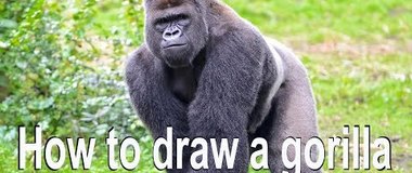 How to draw a gorilla, draw a monkey, #Kids, #YouTubeKids, #Howtodraw