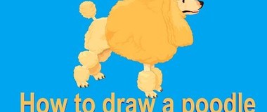 How to draw a poodle, draw a dog, #children, #YouTubeKids