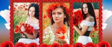 Красные маки | Red poppies | Project for ProShow Producer 