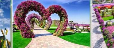 Парк цветов в Дубае! 