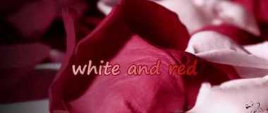 The music is in the heart. White and Red. Johann Pachelbel. Canon.Музыка в сердце.