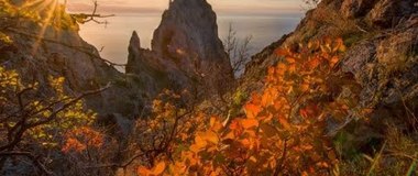 Сказки осеннего леса | Осенняя прозрачность Крыма | Bright colors of autumn (HD)