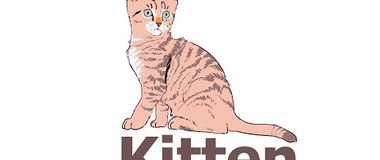 How to Draw a Kitten Super Easy, draw animals, #drawing, #YouTubeKids